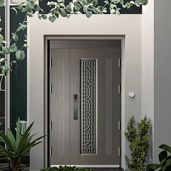 Portes de sécurité élégantes et personnalisées en acier inoxydable 304 pour maisons