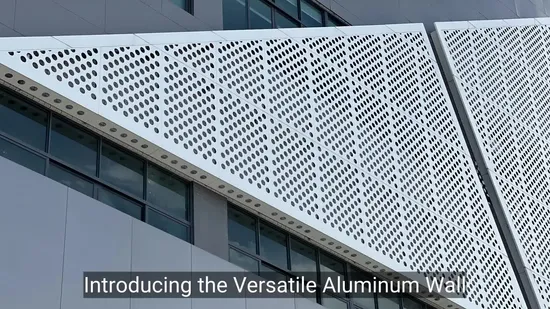 Panneau de façade mural extérieur en aluminium perforé avec écran métallique conçu