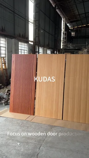 Porte d'entrée extérieure de maison moderne de luxe française à double design en bois
