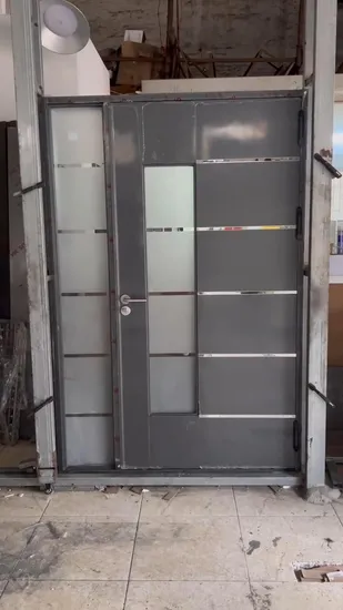 Porte profilée industrielle/porte en acier inoxydable