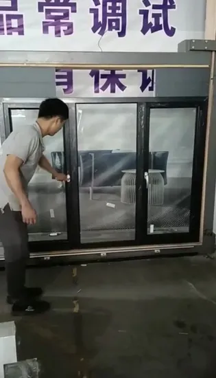 Fenêtres à battants extérieures en aluminium à double vitrage vertical pour appartements