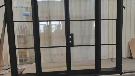 Porte en acier française à prix bon marché, porte en fer
